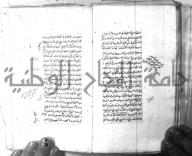 شرح الشافية 