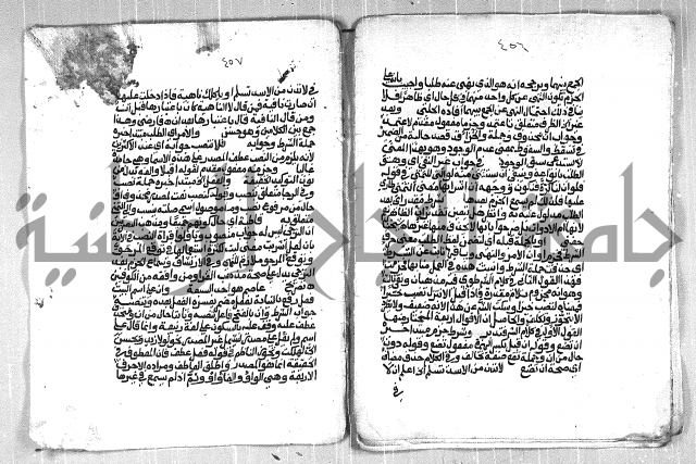 فتح الجليل  على شرح ابن عقيل 