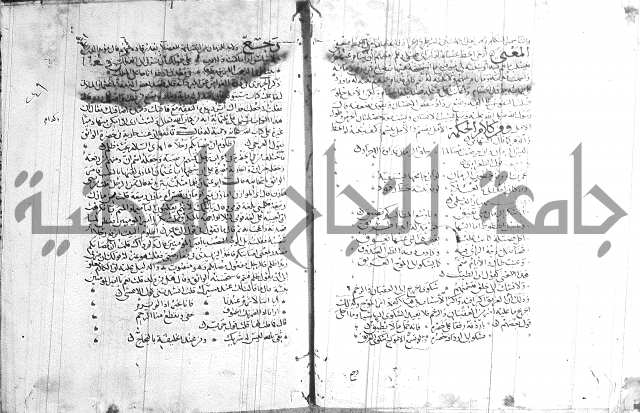 شرح لامية العجم 