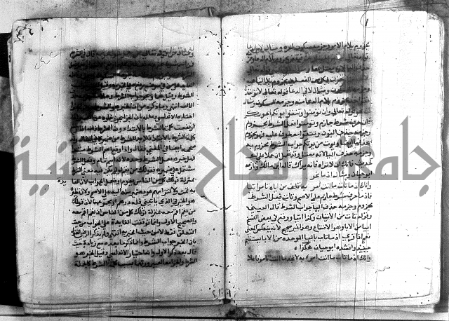 العقود الجوهرية 