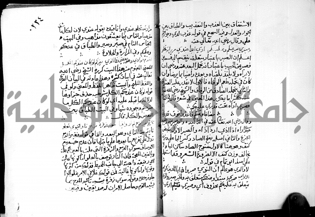 البحر الفائض في شرح ديوان ابن الفارض البوريني 