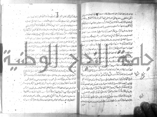 صحيح مسلم ج 2 