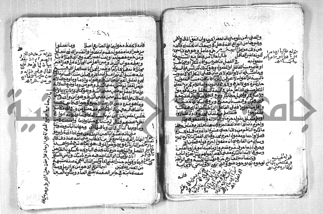 فتح الجليل  على شرح ابن عقيل 