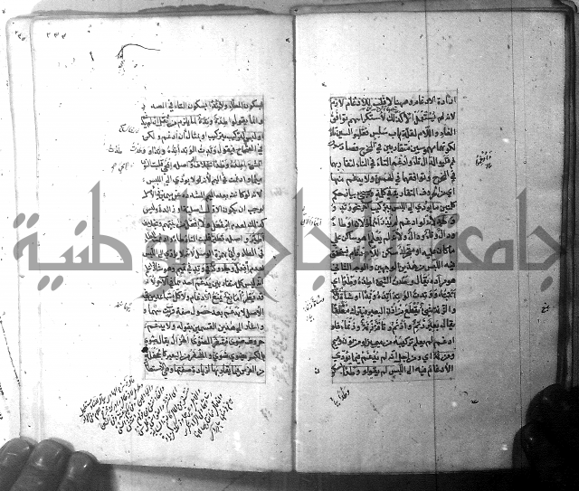 شرح الشافية 