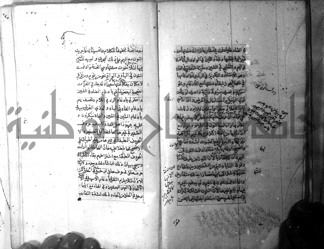 شرح الشافية 