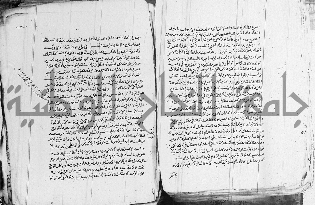 الزيادي على المنهج 