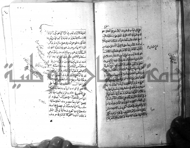 شرح الشافية 