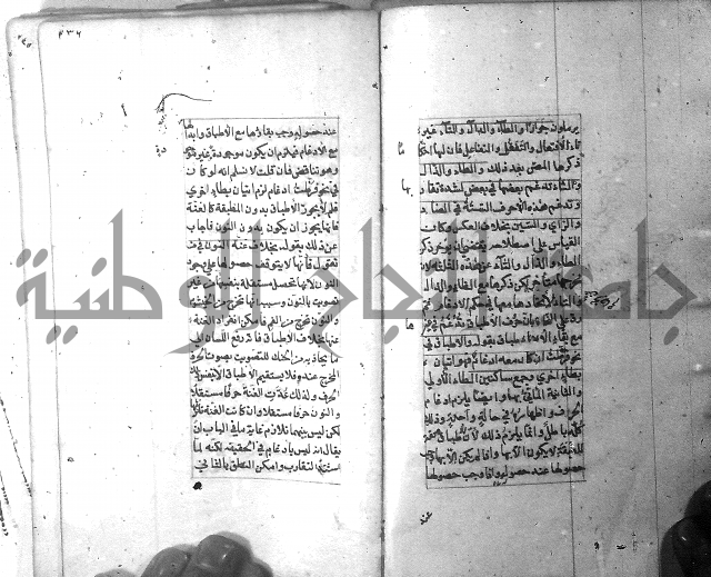 شرح الشافية 