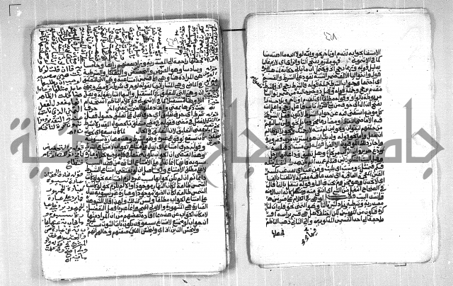 فتح الجليل  على شرح ابن عقيل 