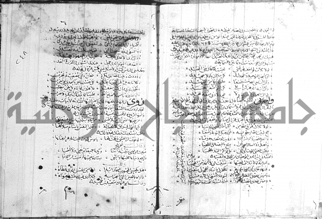 شرح لامية العجم 