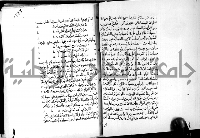 البحر الفائض في شرح ديوان ابن الفارض البوريني 