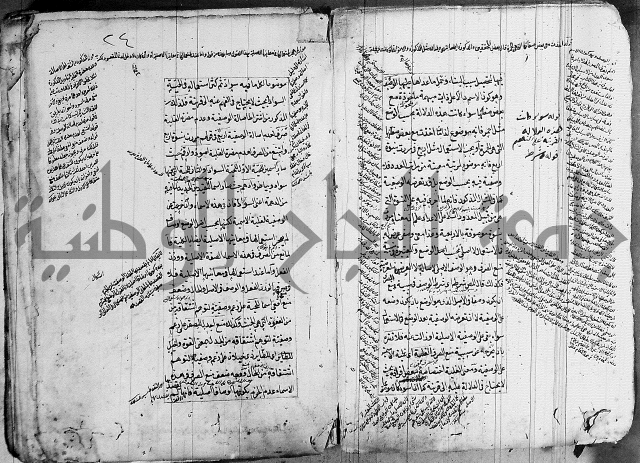 فوائد على الكافية 