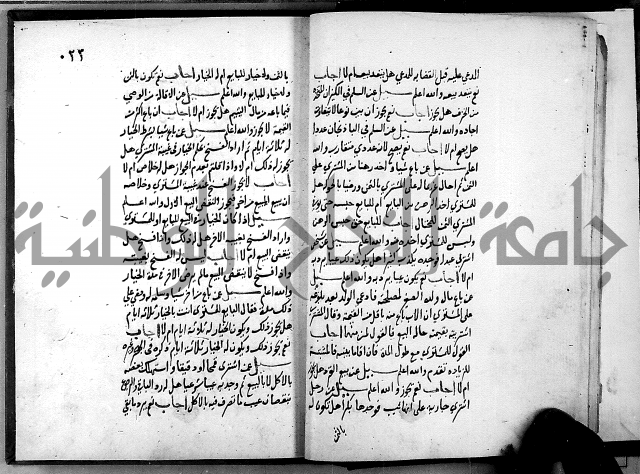 الفتاوى الامينية