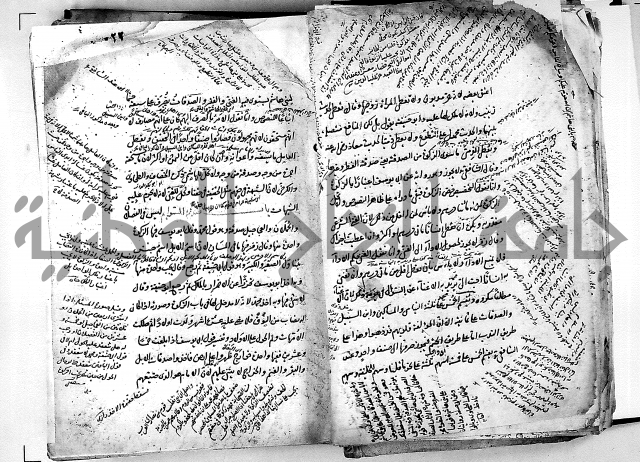 مذهب ابي حنيفة في الفقة