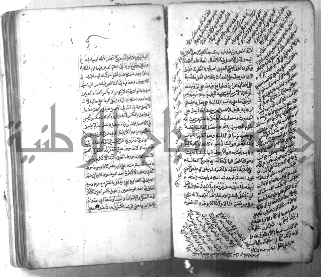 شرح الشافية 