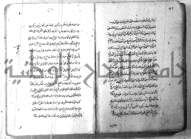 التفنن في الصرف