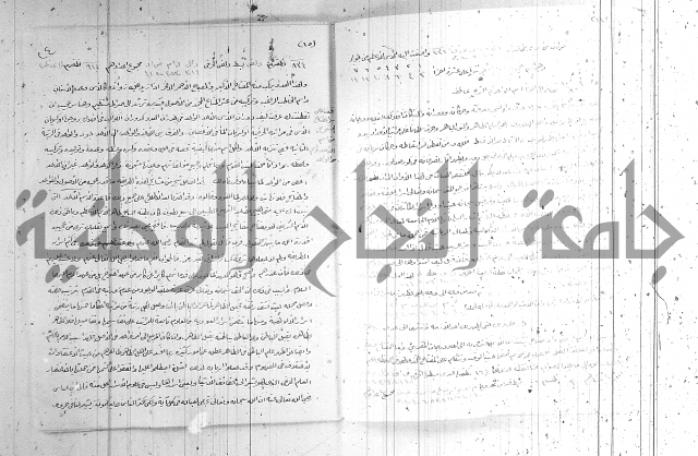 اصول معرفة النسب