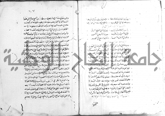 كتاب في الادب 