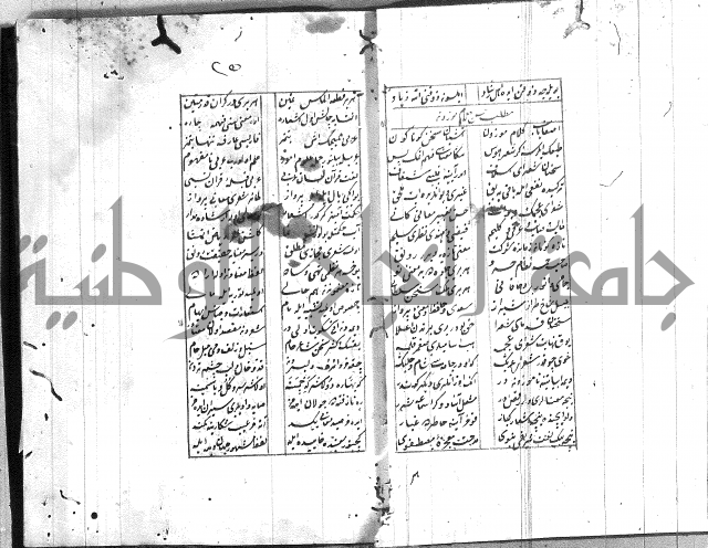 نظم تركي