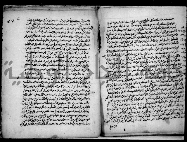 حاشية السجاعي على شرح قطر الندى وبل الصدى لابن هشام