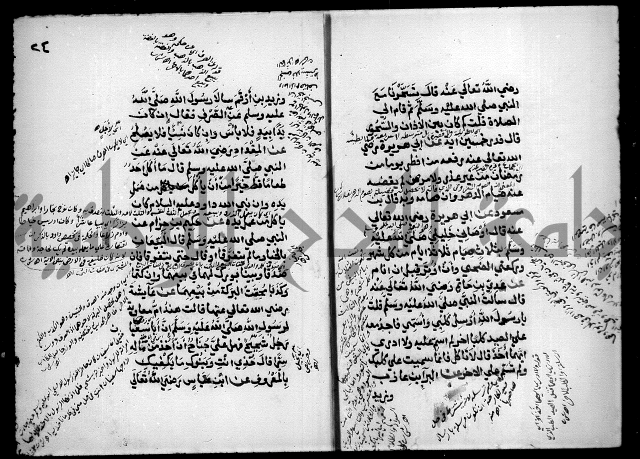 مختصر صحيح البخاري = جمع النهاية في بدء الخير والغاية