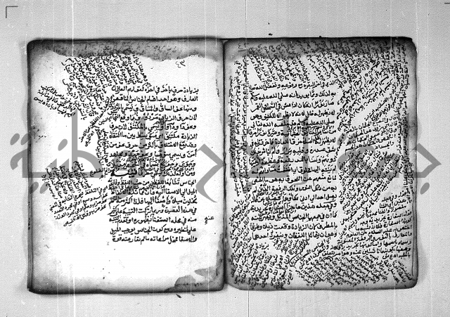 شرح الهمزية  