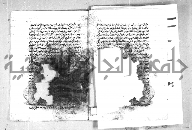 الهدهدي 