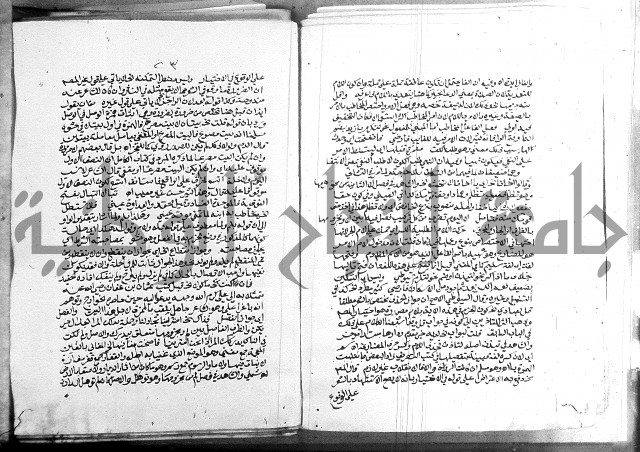 كتاب في اللغة العربية