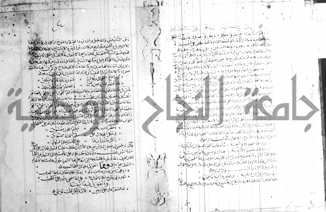 شرح لامية العجم 