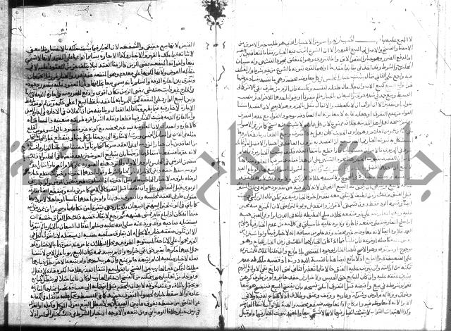 نهاية المحتاج 