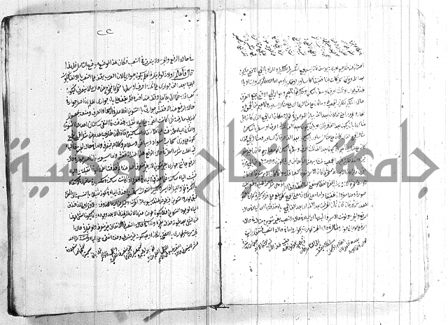 الانتاج المؤلف 