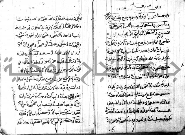 شرح مقدمة قطر الندى وبل الصدى