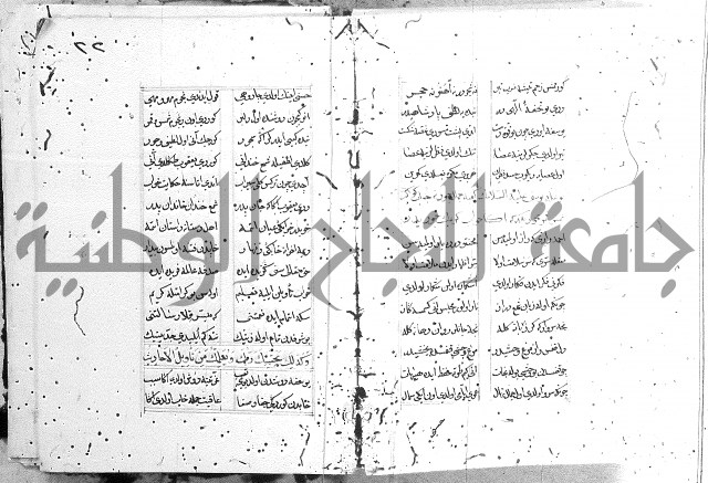 كتاب يوسف زليخا المؤلف 