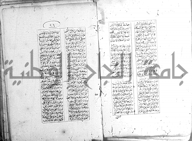 خلاصة التنوير 