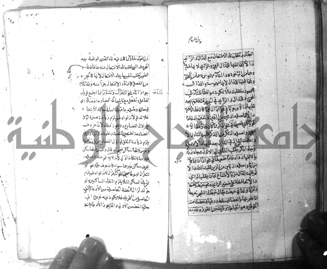 شرح الشافية 