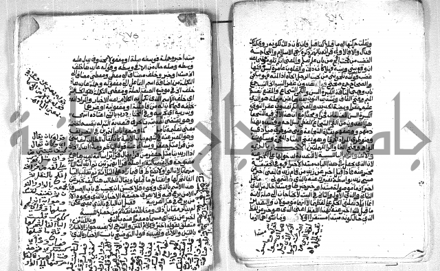 فتح الجليل  على شرح ابن عقيل 