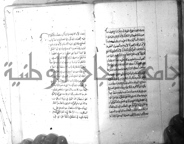 شرح الشافية 