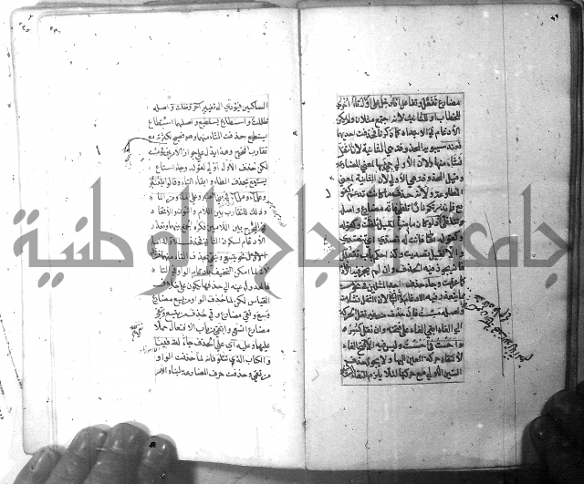 شرح الشافية 