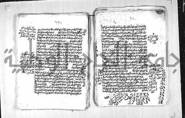 فتح الجليل  على شرح ابن عقيل 