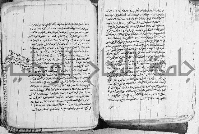 الزيادي على المنهج 