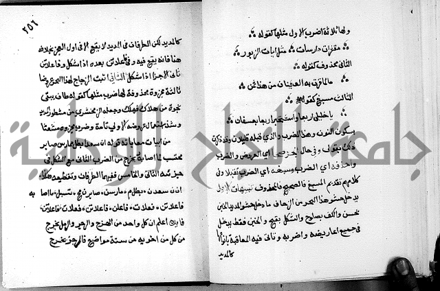 مختصر حاشية القهوتي 