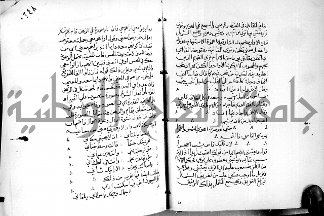 البحر الفائض في شرح ديوان ابن الفارض البوريني 