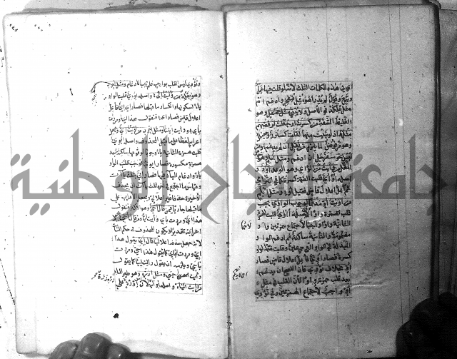 شرح الشافية 