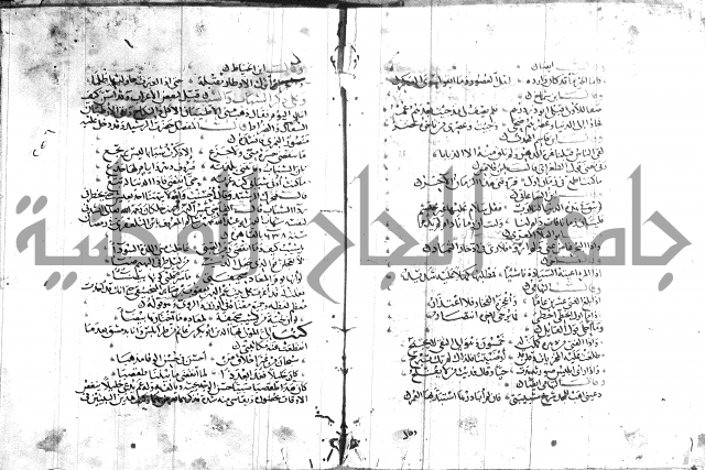 شرح لامية العجم 