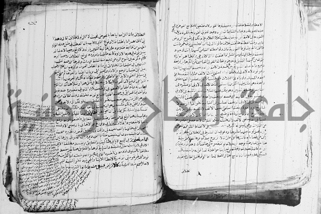 الزيادي على المنهج 