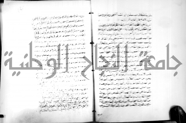 البحر الفائض في شرح ديوان ابن الفارض البوريني 