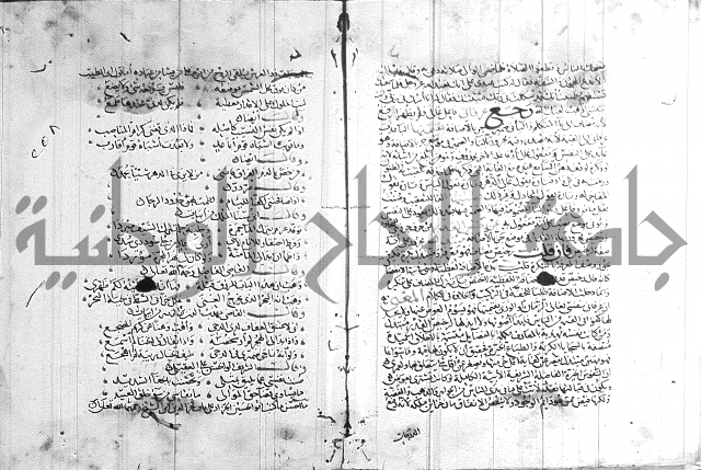 شرح لامية العجم 