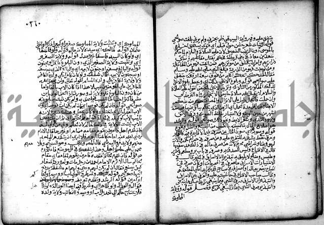 فقة من مخطوطات مسجد الحاج نمر النابلسي 