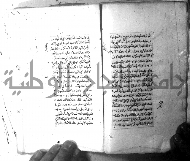 شرح الشافية 