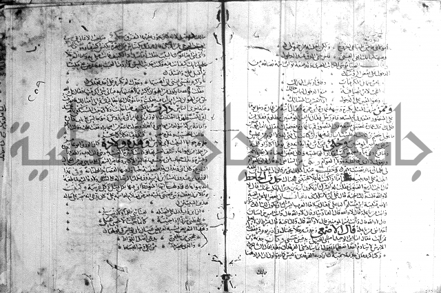 شرح لامية العجم 